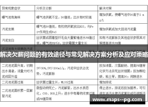 解决欠薪问题的有效途径与常见解决方案分析及应对策略