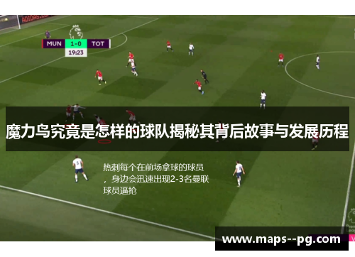 魔力鸟究竟是怎样的球队揭秘其背后故事与发展历程