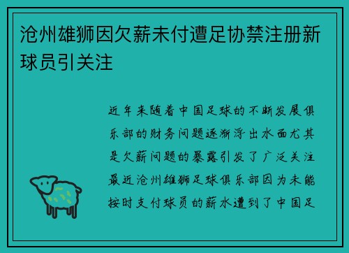 沧州雄狮因欠薪未付遭足协禁注册新球员引关注